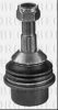 BORG & BECK BBJ5696 Ball Joint
